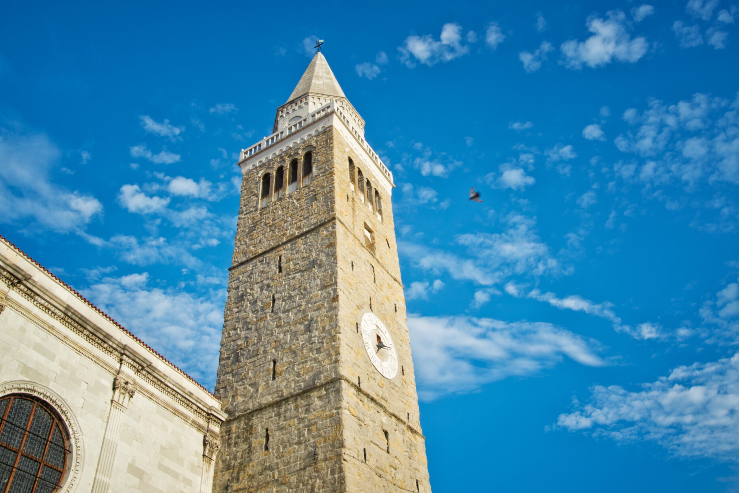 Koper